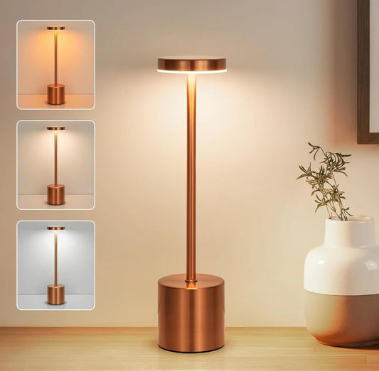 Malani Modern LED Lamp