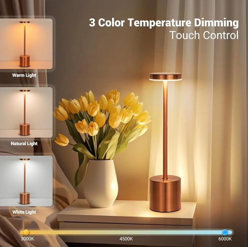 Malani Modern LED Lamp